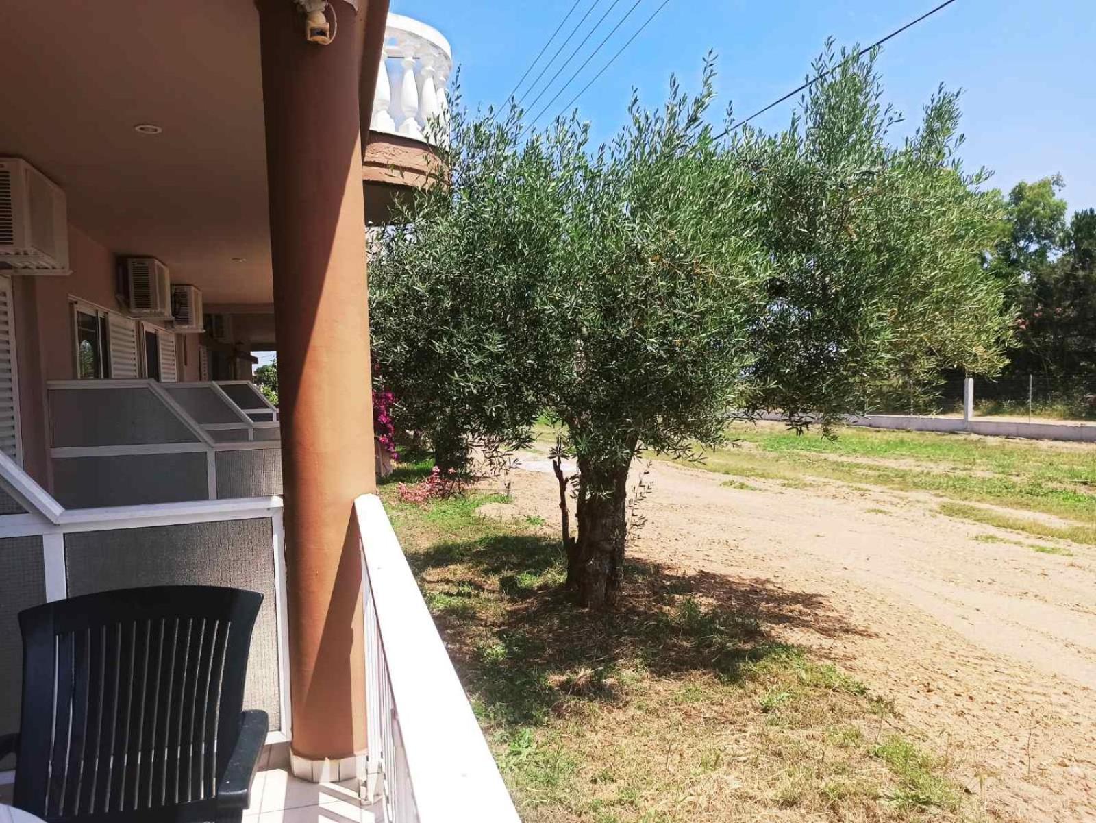 House Michalis Aparthotel Sarti Ngoại thất bức ảnh